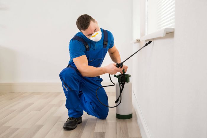 Exterminator in Peoria, IL