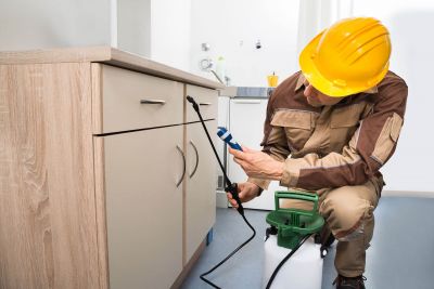 Exterminator in East Peoria, IL
